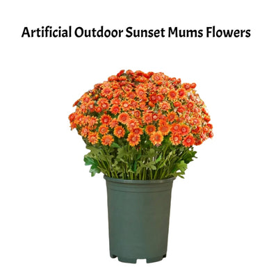 The EverFall Mum - A Perfect Fall Porch, Effortlessly